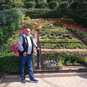 ���������� ����, ���� ������� ���������, 40 ���, ������������ ��� ������, ����� � ���������, c�������� ���������