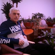  ,   , 61 ,  