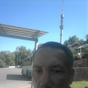  ,   , 51 ,     , c 