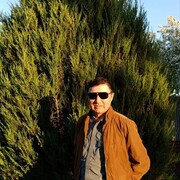 ���������� ����-�����, ������� �����, 66