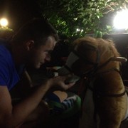 ���������� �����, ���� ������� ������, 40 ���, ������������ ��� ������, ����� � ���������, c�������� ���������