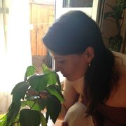 ���������� ���������, ���� ������� ����, 52 ����, ������������ ��� c�������� ���������