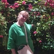  --,   , 55 ,   ,   