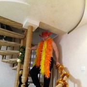 ���������� �������, ���� ������� Alex, 45 ���, ������������ ��� ������, ����� � ���������, c�������� ���������