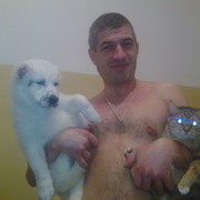 ���������� ����, ���� ������� �����, 58 ���, ������������ ��� ����� � ���������, c�������� ���������