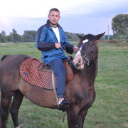  ,   Aleks, 33 ,   ,   , c 