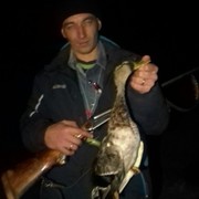 ���������� �����������, ���� ������� �������, 41 ���, ������������ ��� ������, ����� � ���������, c�������� ���������