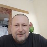 ���������� �������, ���� ������� �������, 40 ���, ������������ ��� ������, ����� � ���������, c�������� ���������