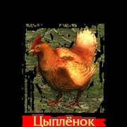 ���������� ����������, ���� ������� �����, 35 ���, ������������ ��� ������, ����� � ���������, c�������� ���������, ���������