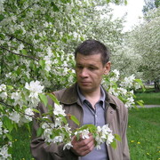  ,   , 52 ,     , c 