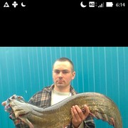 ���������� �������-����������, ������� ������, 38