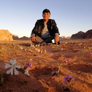  ,   Yaser, 50 ,   ,   , c 