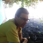 ���������� ��������, ������� ��������, 55