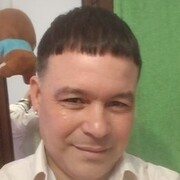  ,    , 41 ,   ,   