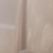  ,  , 53