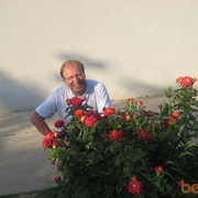 ���������� �����������, ������� ������, 62