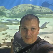 ���������� ������, ���� ������� �������, 38 ���, ������������ ��� ������, ����� � ���������