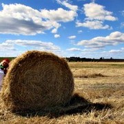 ���������� �������, ���� ������� ����, 62 ����, ������������ ��� ����� � ���������, c�������� ���������