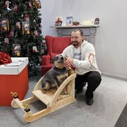 ���������� �����-���������, ���� ������� Dino, 47 ���, ������������ ��� ������, ����� � ���������, c�������� ���������