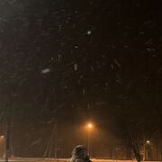 ���������� ������, ���� ������� ������, 22 ����, ������������ ��� ������, ����� � ���������, c�������� ���������