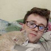 ���������� ������ ���, ���� ������� ������, 32 ����, ������������ ��� ����� � ���������, c�������� ���������