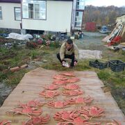 ���������� ������, ���� ������� �������, 56 ���, ������������ ��� ������, ����� � ���������