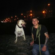 ���������� �����, ���� ������� ������, 33 ����, ������������ ��� ������, ����� � ���������, c�������� ���������, ���������