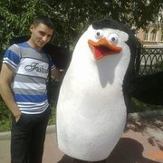 ���������� ����, ���� ������� ���������, 38 ���, ������������ ��� ������