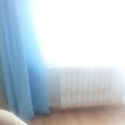 ���������� ����, ���� ������� ������, 44 ����, ������������ ��� ������, ����� � ���������, c�������� ���������