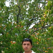  ,   , 43 ,   ,   , c 