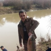  ,   Murod, 43 ,     , c 