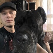  ,   , 37 ,   c 