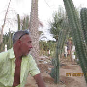  ,   , 51 ,   