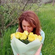  ,   , 49 ,   ,   