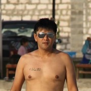  ,   Kot, 53 ,   