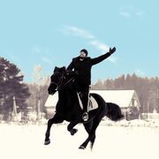 ���������� ������, ���� ������� ���, 36 ���, ������������ ��� ������, ����� � ���������, c�������� ���������, ���������