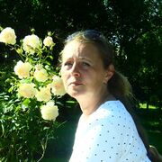  -,   , 65 ,   ,   