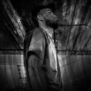 ���������� ���������, ���� ������� Lindeman, 27 ���, ������������ ��� ������, ����� � ���������