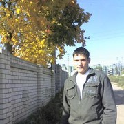  ,  mystang, 40