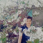  --,   , 48 ,   ,   