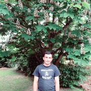 ���������� ������, ���� ������� Arsen, 45 ���, ������������ ��� ������, ����� � ���������, c�������� ���������