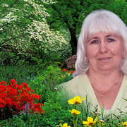 ���������� �������, ���� ������� ������, 70 ���, ������������ ��� ������, ����� � ���������, c�������� ���������