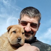  ,   Arrtyr, 41 ,   ,   , c , 