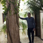 ���������� ���������, ������� ����, 38