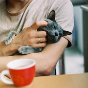 � � ������ ��� �������� ����.