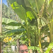 ���������� �����������, ���� ������� �����, 40 ���, ������������ ��� ������, ����� � ���������, c�������� ���������