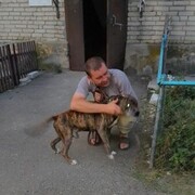  ,   , 43 ,   ,   