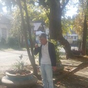 ���������� ����, ���� ������� ����, 44 ����, ������������ ��� ������, ����� � ���������, c�������� ���������