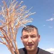 ���������� ���������, ���� ������� ��������, 46 ���, ������������ ��� ������, ����� � ���������