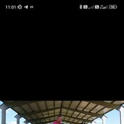 ���������� ������, ���� ������� ����, 50 ���, ������������ ��� ������, ����� � ���������